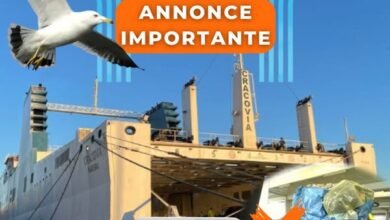 Nouris El Bahr Ferries Nouvelles restrictions douanières pour les véhicules en transit