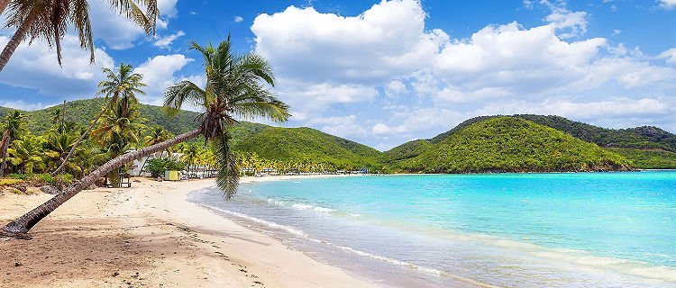 Plage de Carlisle Bay dans les Caraïbes